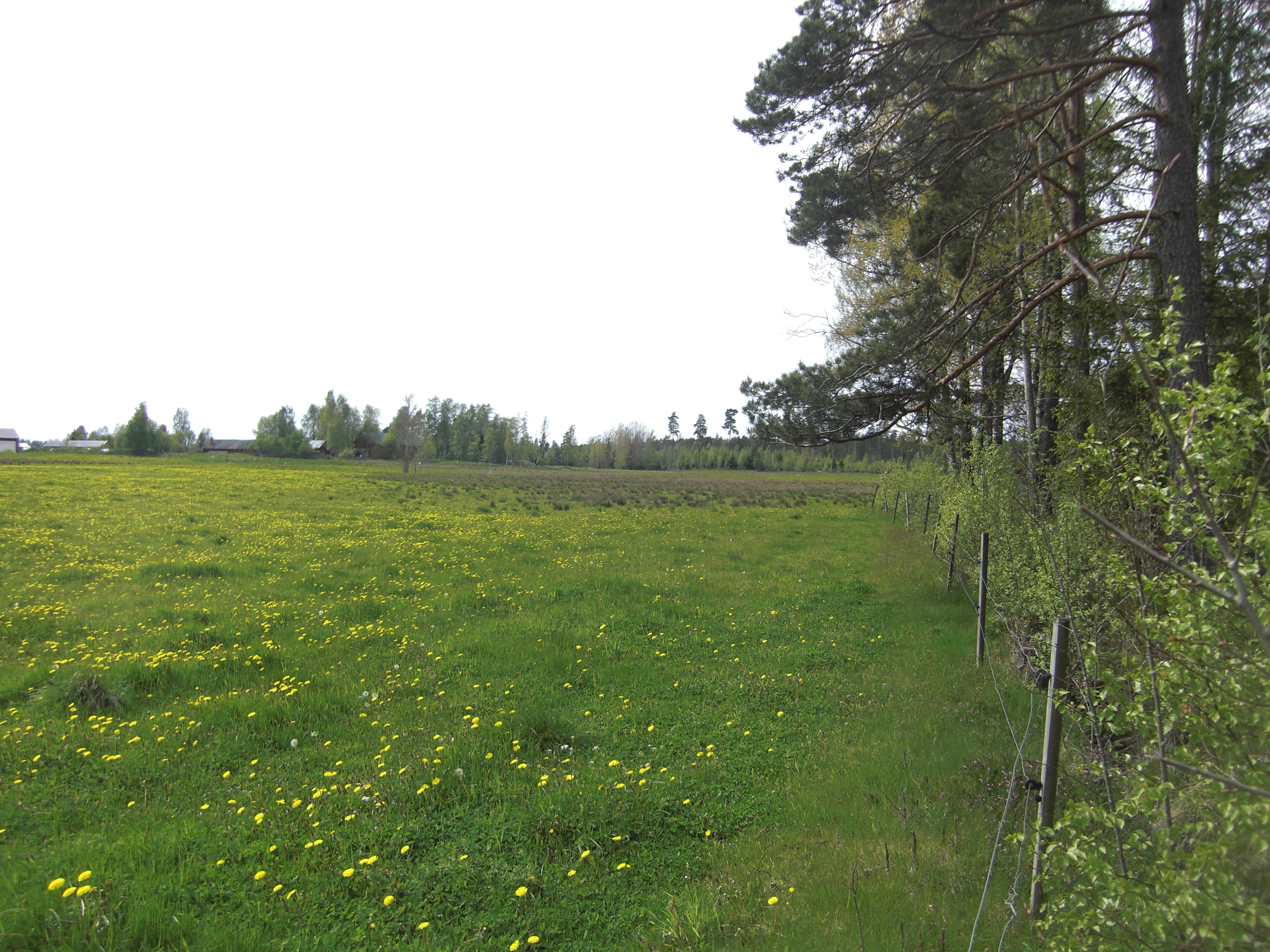 Tre tomter i naturskönt läge i Ö.Fågelvik/Skattkärr